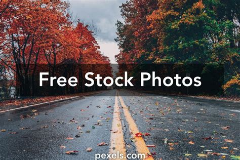 photo stock images free|free stock images no copyright.